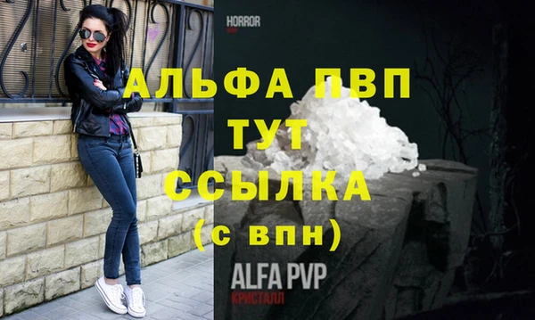 PSILOCYBIN Верея
