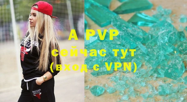 PSILOCYBIN Верея